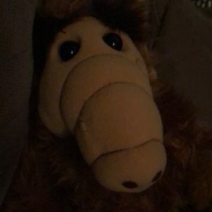 Meet your Posher, Gary